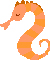 Image of a seahorse